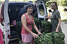 Саратовцы сплели и передали на фронт летние маскировочные сети